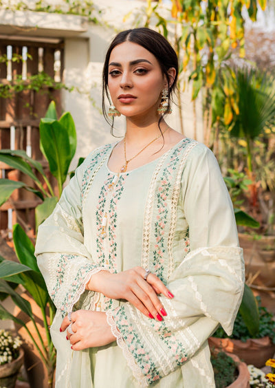 Debbagh mint - Naayas Official | best sellers main